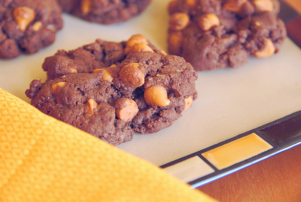 Chocolate butterscotch cookies 1_small