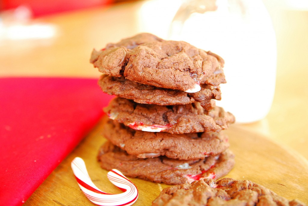 Peppermint Mocha Pudding Cookies 2_small
